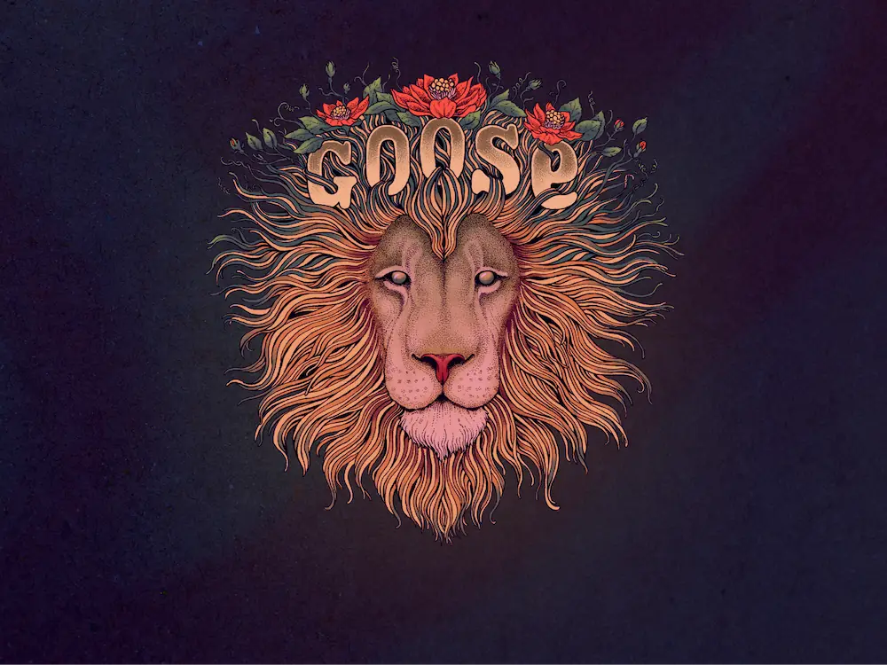 Goose Summer Tour 2024